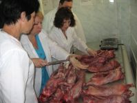 В Норвегии научились определять свежесть мяса с помощью рентгена