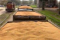 В Одессе остановлена незаконная перевозка пшеницы