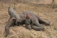 Немецкий охотник заплатил $60 тысяч, чтобы убить редкого слона