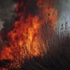 За четыре дня, в результате пожаров, сгорело более 400 гектаров заповедной территории