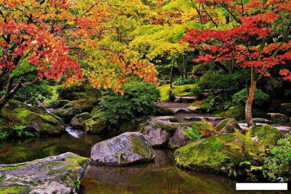Осень в Японии15.jpg