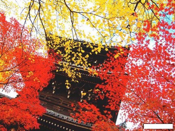 Осень в Японии4.jpg