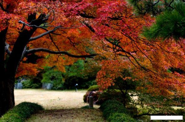 Осень в Японии5.jpg