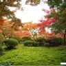 Осень в Японии11.jpg