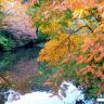 Осень в Японии9.jpg